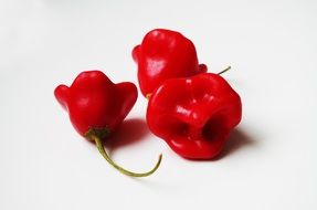 red pepper as episcopal hat