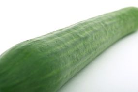 isolated fresh cucumber