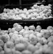 garlic in boxes in the market