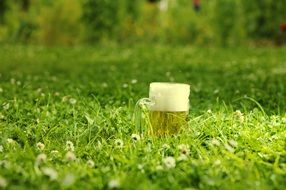glass of beer among green grass