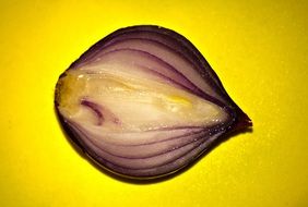 Red Onion Vegetable