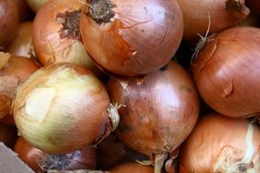 White onions for sale in the local market