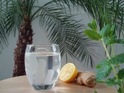 glass of water ginger and lemon