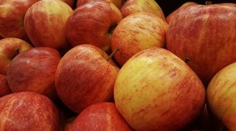 Apples Gala
