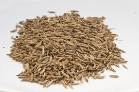 seeds like spices