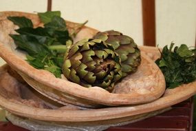 green Vegetables of Artichoke