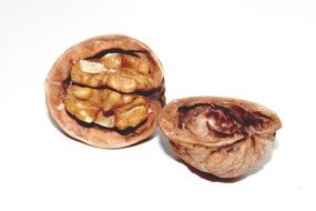 healthy walnut