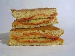 Toast Sandwich with cheese and tomato
