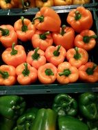 colorful sweet peppers for sale