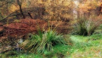 Autumn Colors drawing