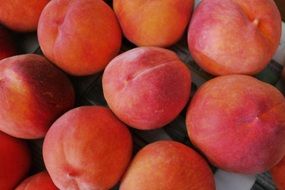 Picture of sweet Peaches