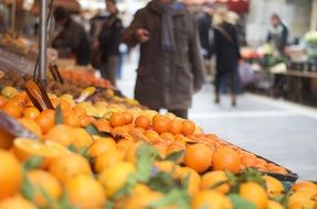 citrus fruits on the market