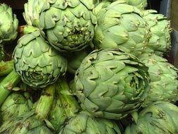 pile of green artichokes close up