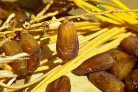 A lot of dried healthy sweet dates