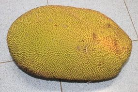 beautiful delicious Jackfruit