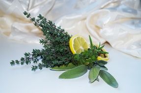 Decoration in form of lemon and herbs