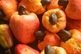 Cashew Apple