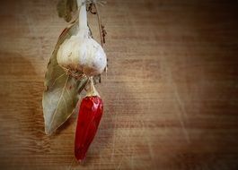 chili pepper and garlic as decor