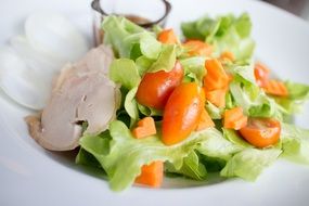 vegetable salad with chicken and sauce