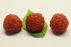 three Raspberries Fruits close