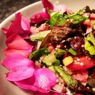 Salad with quinoa as decoration