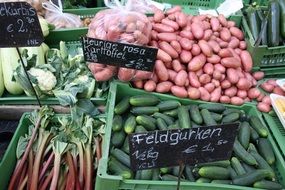 fresh Vegetables
