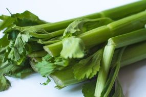 Green organic celery