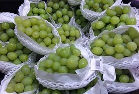muscat grapes in grocery, japan