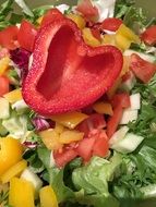 bell pepper salad