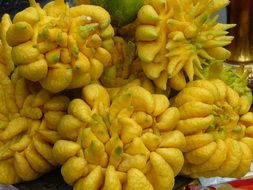 tropical yellow fingered citron
