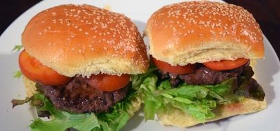 Picture of the Hamburgers