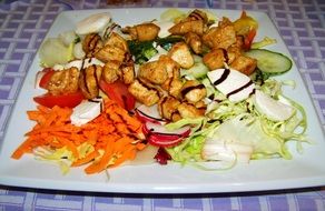 meat salad with vegetables on a white plate