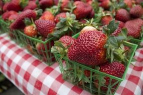 small boxes with strawberries