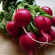 Red radishes with leaves on the table