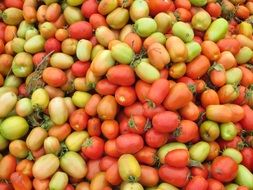 delicious Tomatoes Red and Green Vegetables, peru