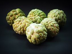 Thai custard apples at dark background