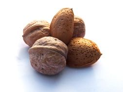 almonds in the shell on the white background