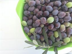 blue Olives Branch