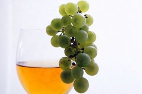 grapes on a glass of wine
