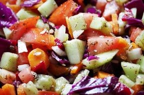 salad with fresh vegetables