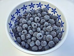 frozen blueberries in the bowl