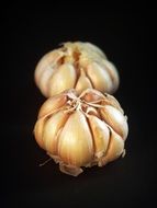 isolated Garlic bulbs