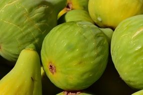 Ripe green sweet figs