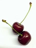 burgundy cherries on a white background