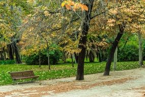 Autumn in the park Nature