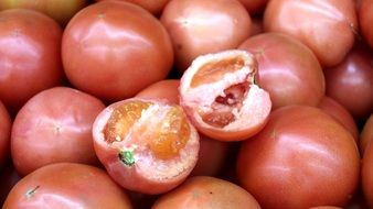 fresh Tomato Section