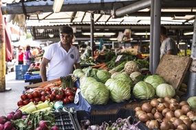 ripe fresh vegetables on the market