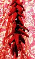 red chili ristra