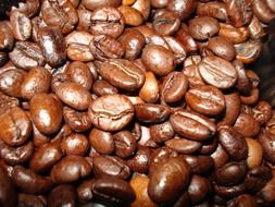Lots of brown coffee beans