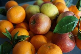 Colorful Apples and citrus fruit wtih leaf